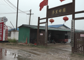 太康清集镇：“南果北种” 农业增效，农民增收！