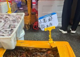 现在的小龙虾降价这么厉害了吗？